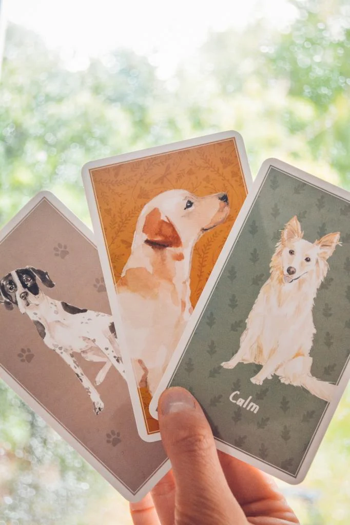 Brain Games for Dogs Card Deck - Image 5