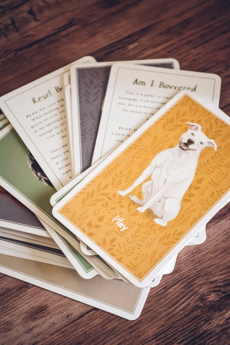 Brain Games for Dogs Card Deck - Image 6