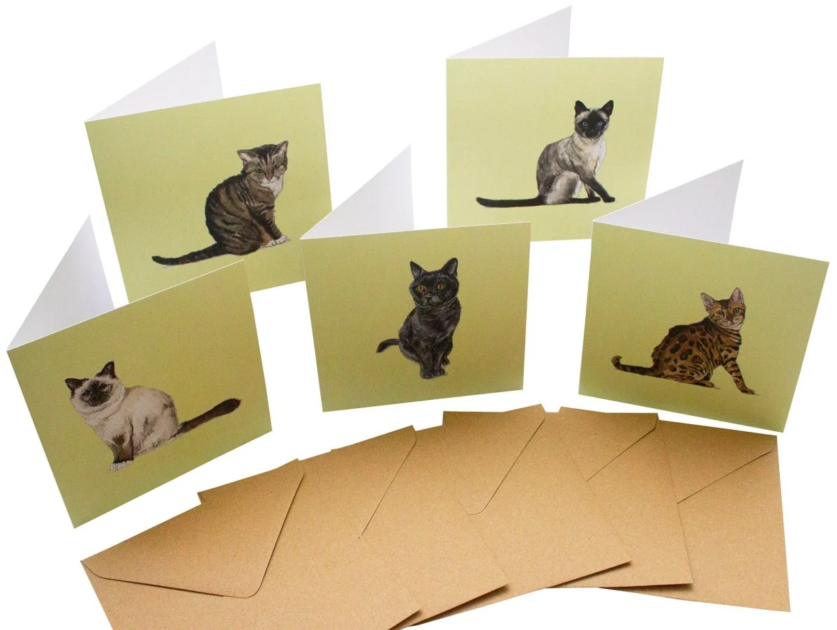 Cat Cards 10 pack by Sophie Botsford