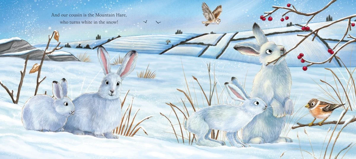 I am Hattie the Hare - Image 4