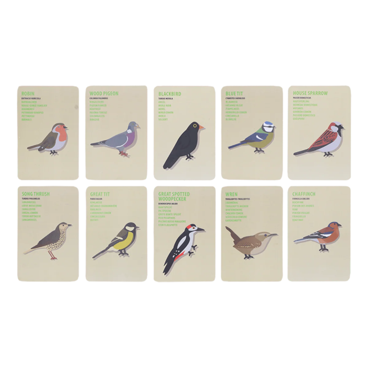 Little Explorers Bag - Birds - Image 5