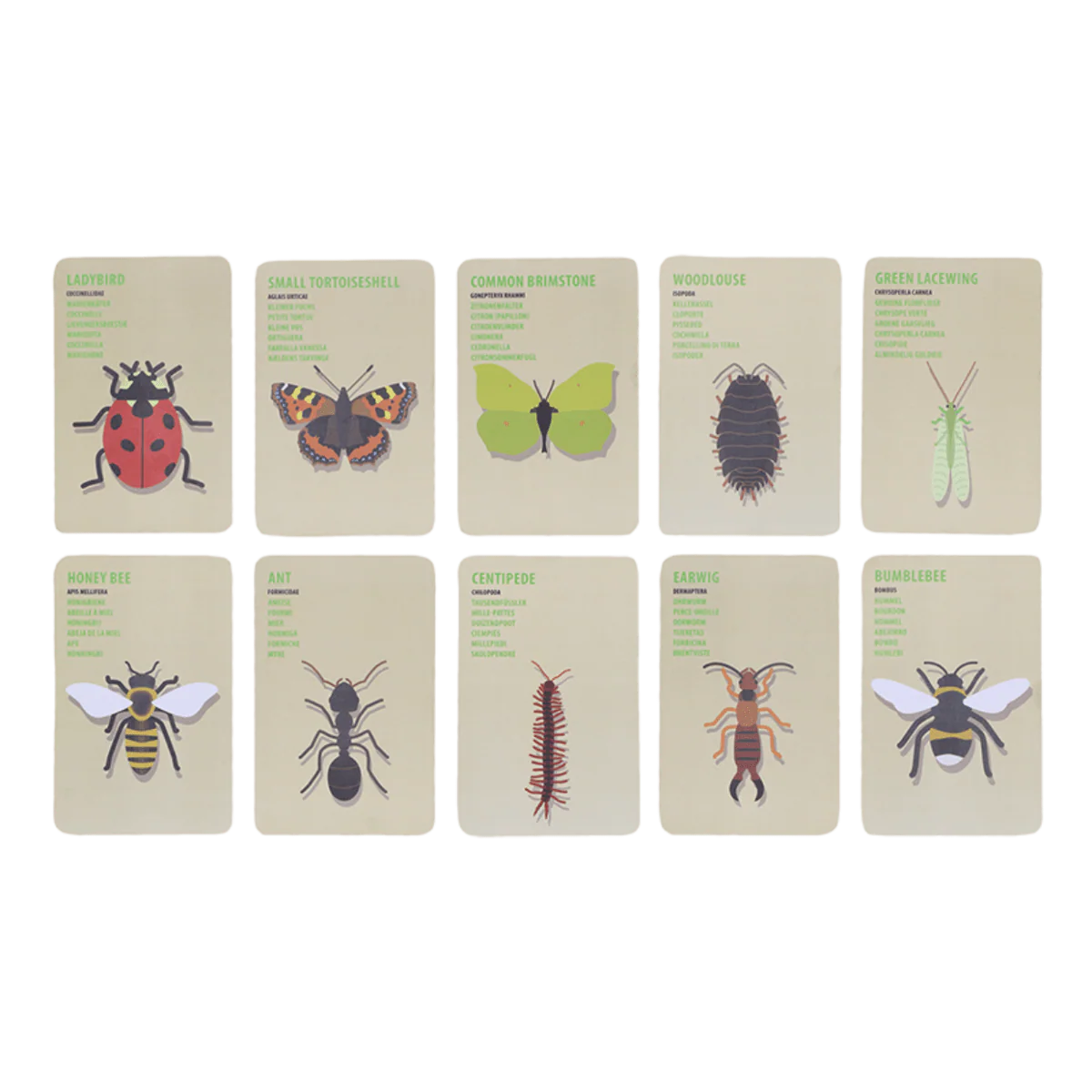 Little Explorers Bag - Insects - Image 3