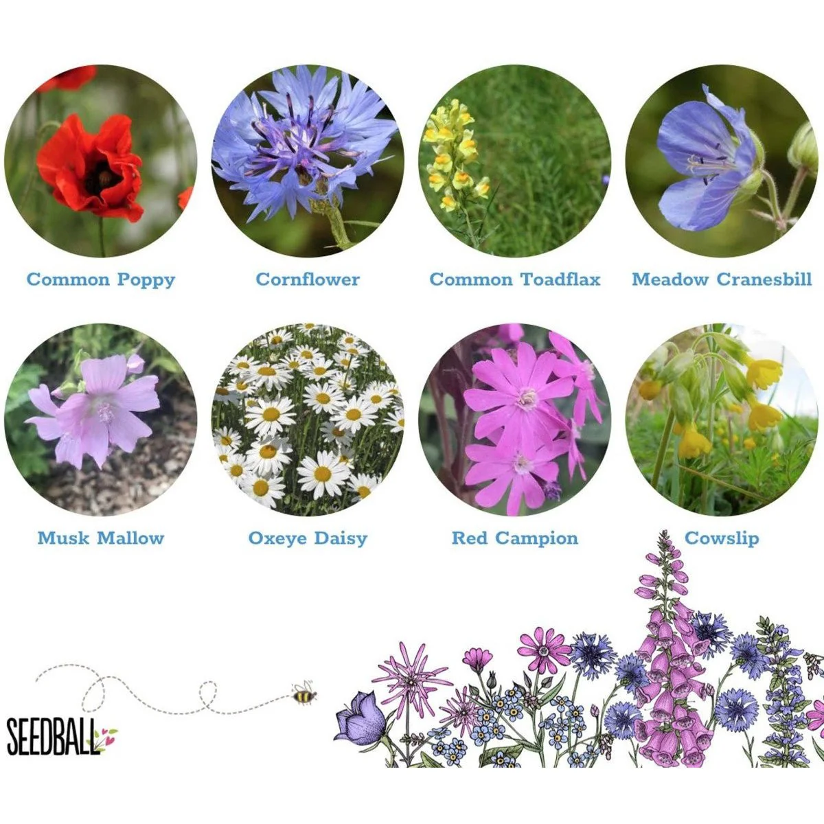 Make Your Own Seed Balls Kit - Image 3