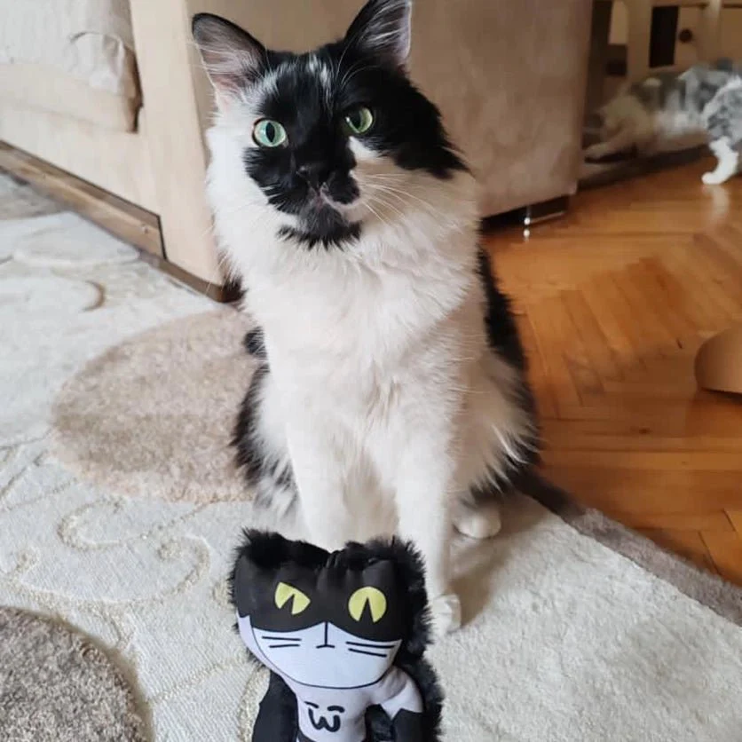 Mymeow Batmeow Finger Teaser Cat Toy - Image 6