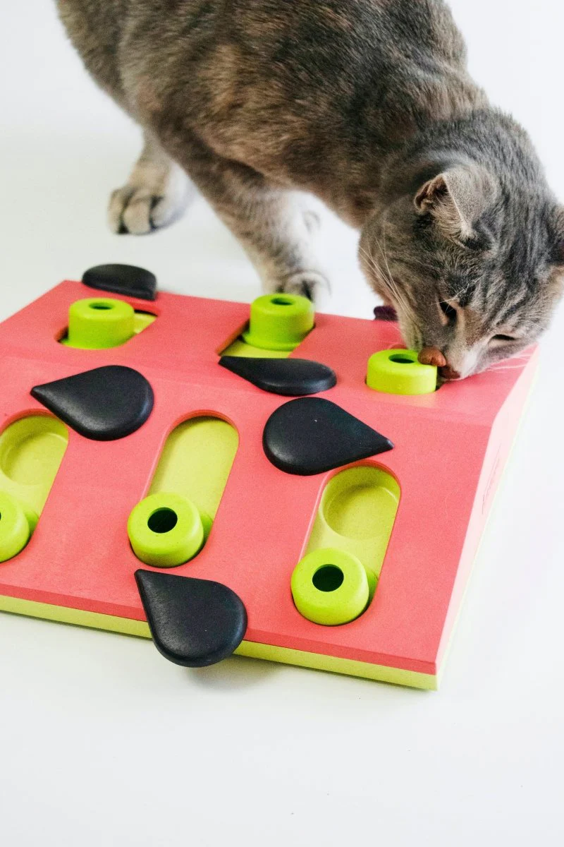 Nina Ottosson Melon Madness Puzzle & Play Cat Puzzle Game - Image 3