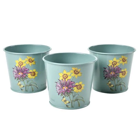RHS Asteraceae Herb Pot Set Of Three - Image 3