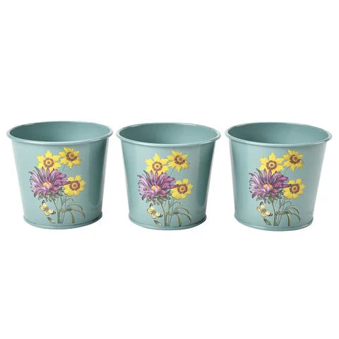 RHS Asteraceae Herb Pot Set Of Three - Image 4