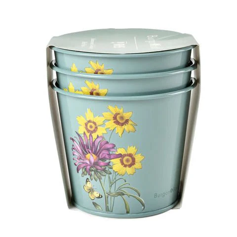 RHS Asteraceae Herb Pot Set Of Three - Image 5