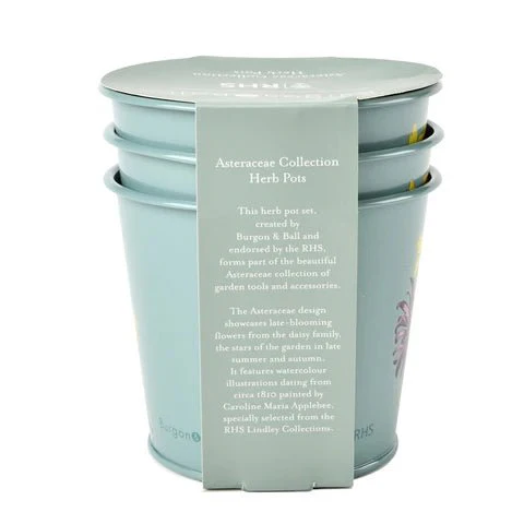 RHS Asteraceae Herb Pot Set Of Three - Image 6