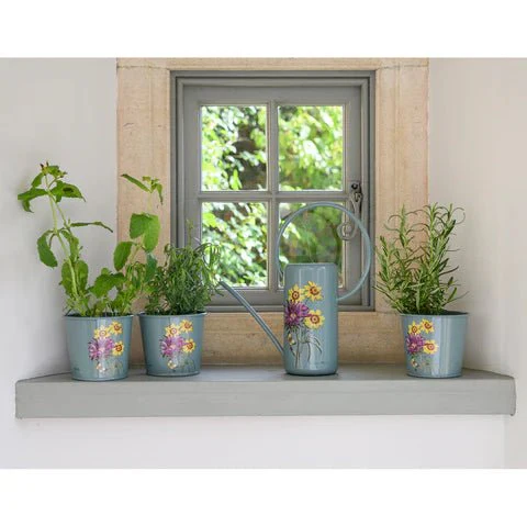 RHS Asteraceae Herb Pot Set Of Three - Image 7