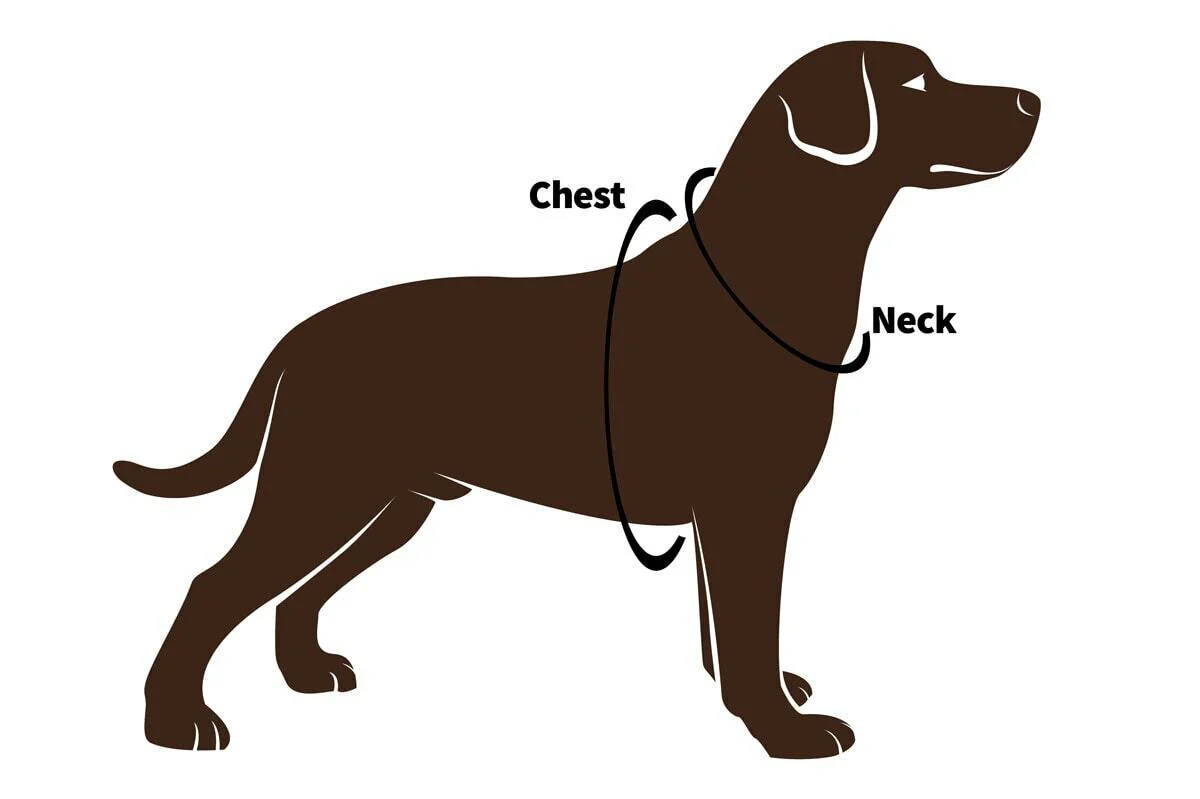 RSPCA Car Safety and Walking Harness - Image 5