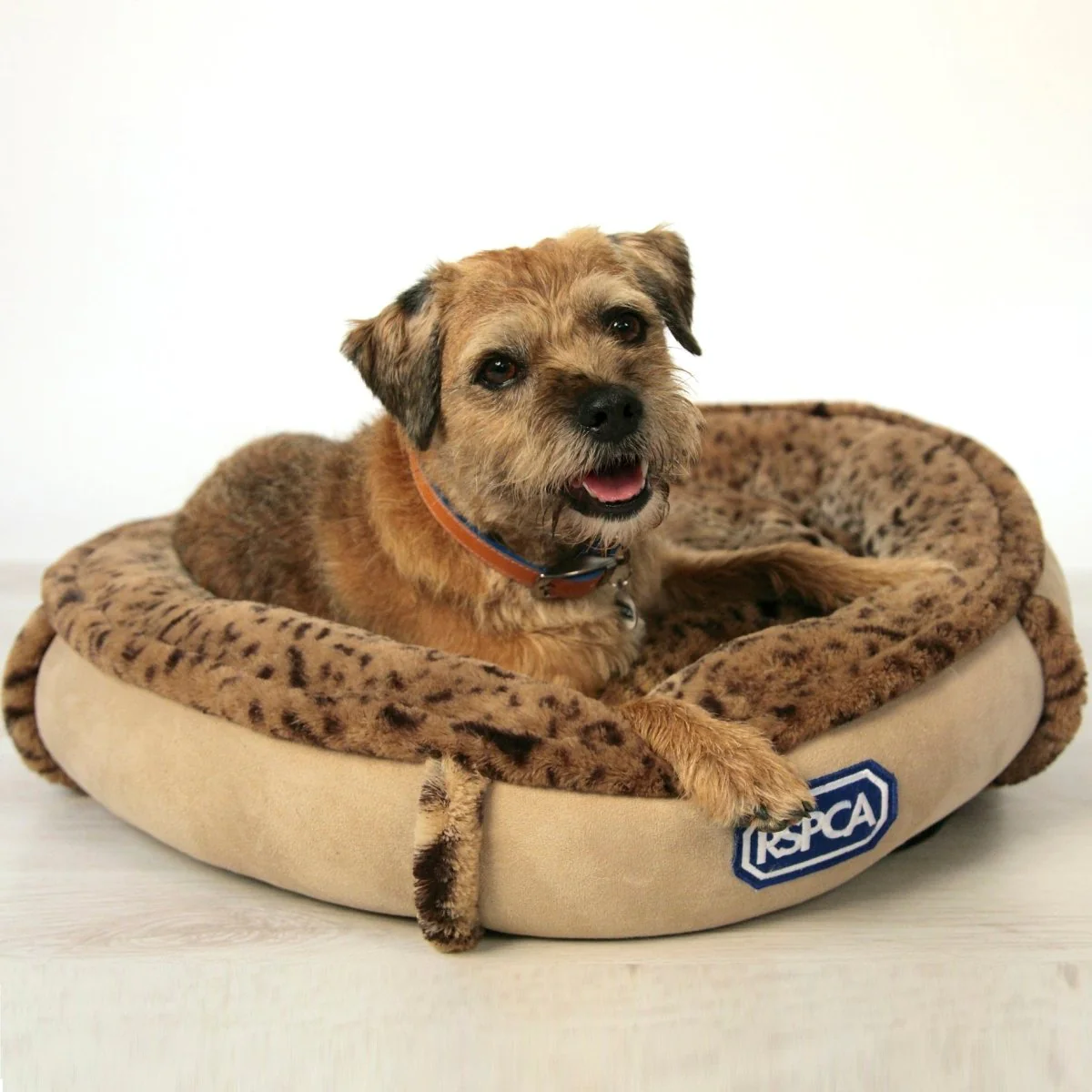 RSPCA Snuggle Dog or Cat Bed - Image 5