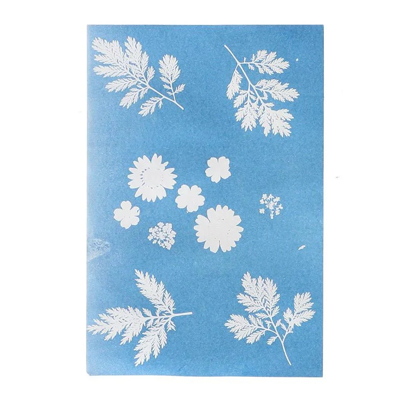 Solar Photo Paper (set of 6 A4 sheets) - Image 3