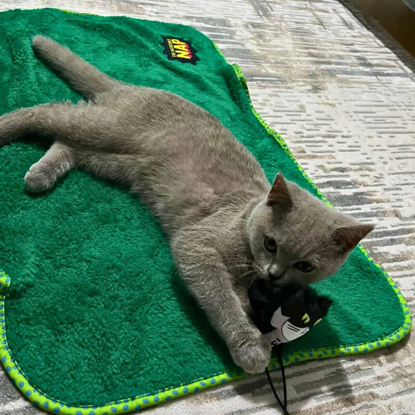 The Incredible Nap Pet Blanket - Image 5