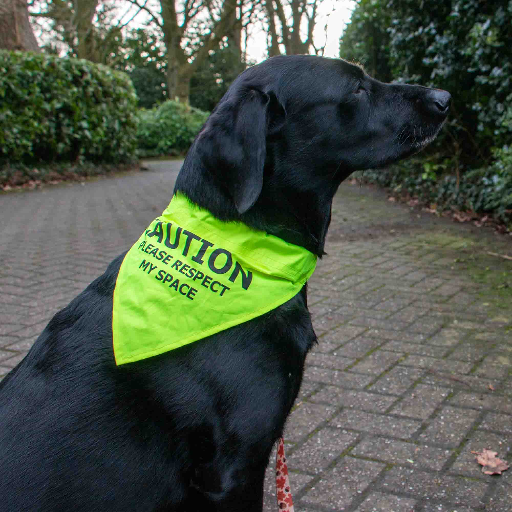 Yellow 'Respect My Space' Dog Bandana - Image 3